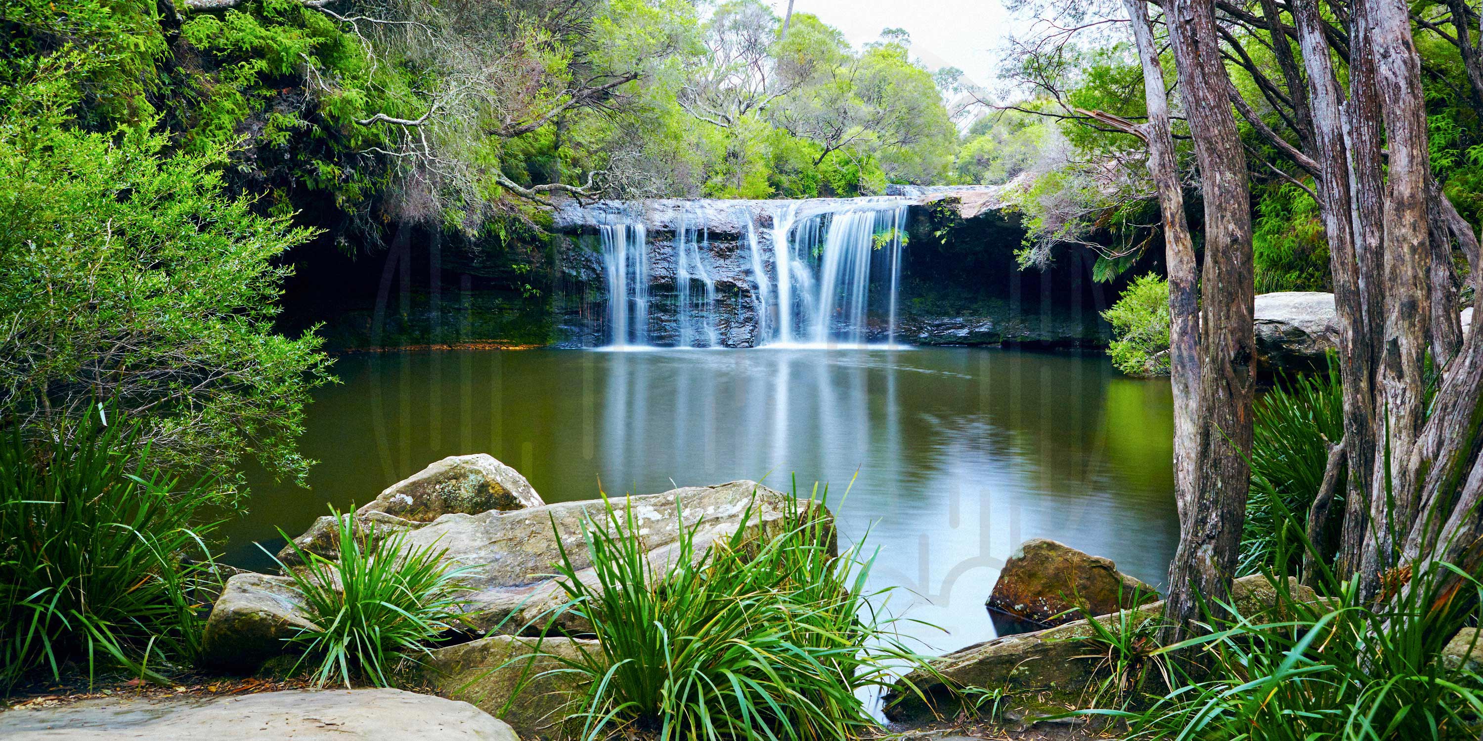 Nellies Glen, Budderoo National Park, NSW Active in Parks