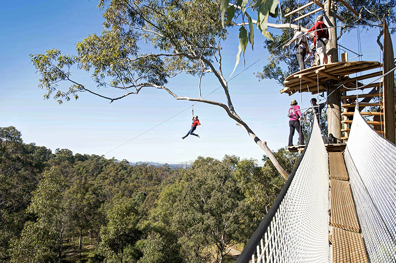 Tree Top Adventure Park, Sydney Active in Parks