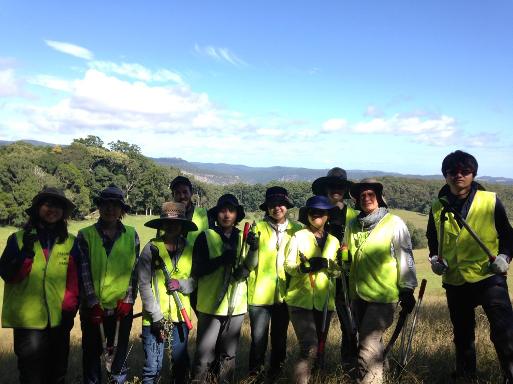 conservation-volunteers-australia-brisbane-active-in-parks