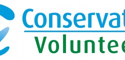 CV_Logo_Secondary