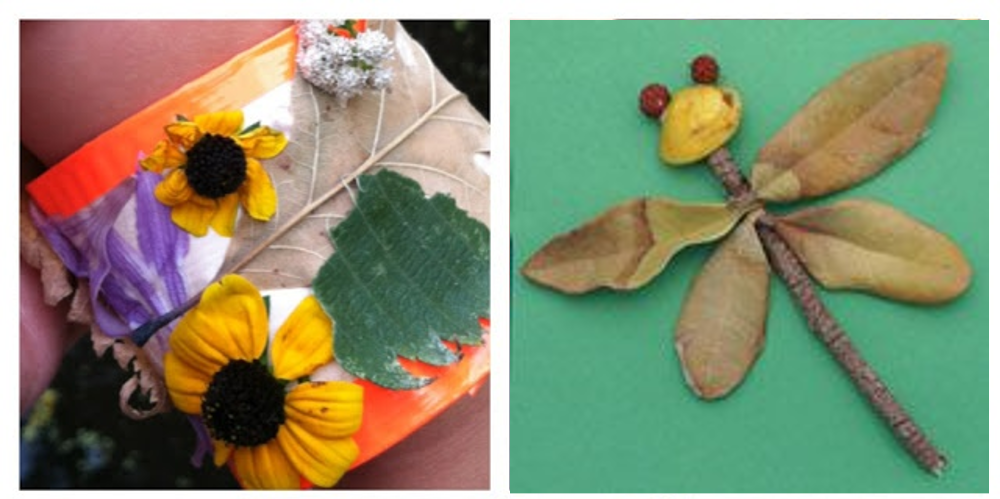 Nurture in Nature - Winter Arts, Crafts & Nature Sessions, Camperdown