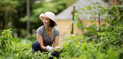 Take a healthy dose of nature – Green Gym Fairfield